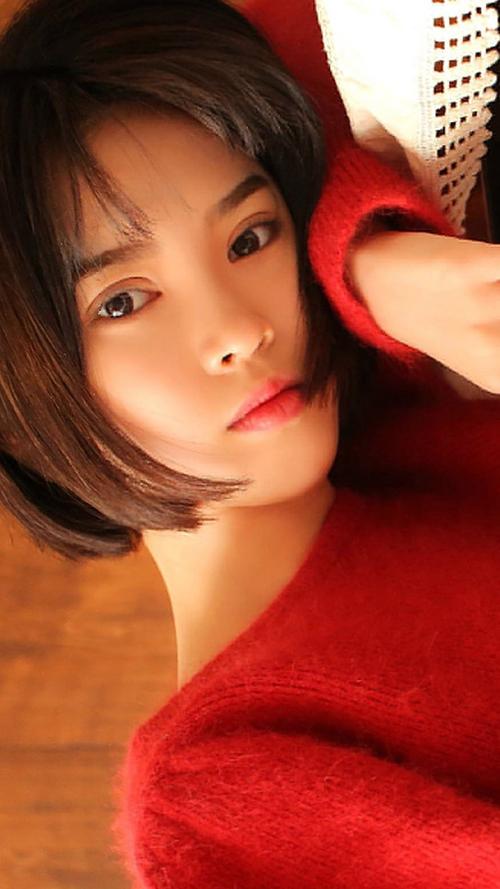 婬荡的女仆动漫系列